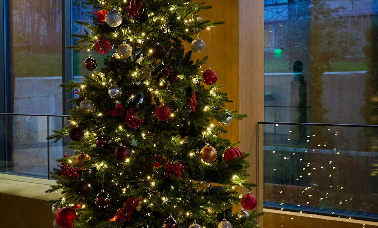 koledna-ukrasa-nbu-2025-ip-3_1244x752_crop_478b24840a