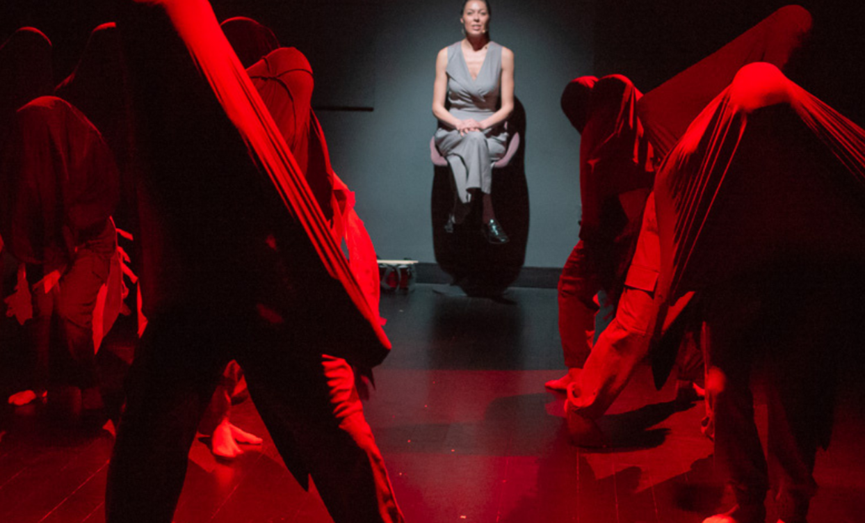 ptici-1_1244x752_crop_478b24840a