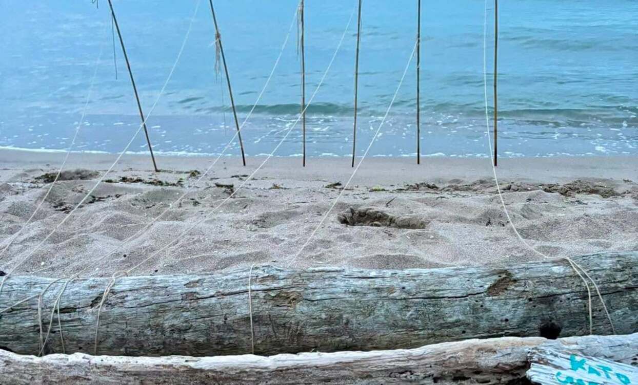 716330635-2254493591975759-5139995311306885566-n_1244x752_crop_478b24840a