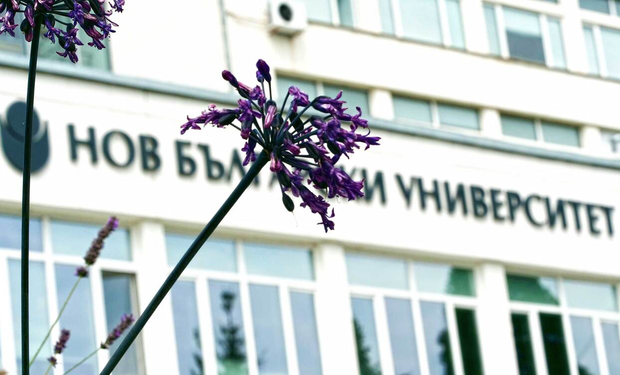 1366862_1244x752_crop_478b24840a