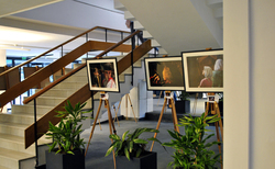 1_250x154_crop_478b24840a