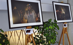 5_250x154_crop_478b24840a