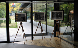 7_250x154_crop_478b24840a