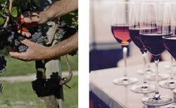 2_250x154_crop_478b24840a