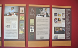 alexander-fol-zala-88_250x154_crop_478b24840a