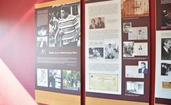 alexander-fol-zala-99_250x154_crop_478b24840a