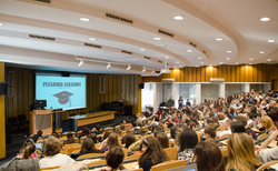 dsc-0034_250x154_crop_478b24840a