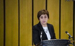 dsc-0029_250x154_crop_478b24840a