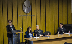 dsc-0041_250x154_crop_478b24840a