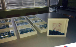 16467311-1596301067051792-1117771034-n_250x154_crop_478b24840a