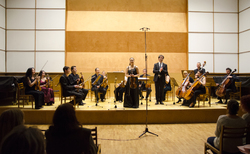 dsc-0030_250x154_crop_478b24840a