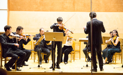 dsc-0035_250x154_crop_478b24840a