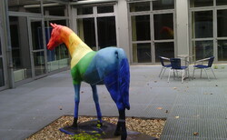 img-20170508-121009_250x154_crop_478b24840a