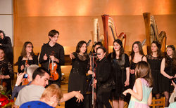 dsc-0068_250x154_crop_478b24840a