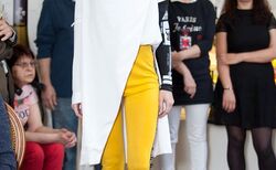 18238160-10207620065334496-6614181719919480781-o_250x154_crop_478b24840a