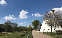 img-9804_250x154_crop_478b24840a