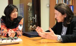 3971-large_250x154_crop_478b24840a