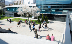 dsc-0326_250x154_crop_478b24840a