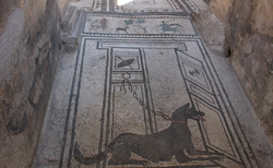 img-1388_250x154_crop_478b24840a