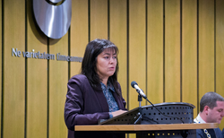 3_250x154_crop_478b24840a