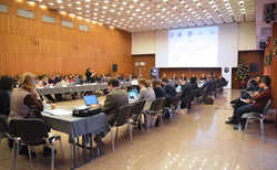 16_250x154_crop_478b24840a