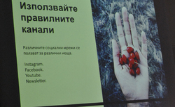 7_250x154_crop_478b24840a