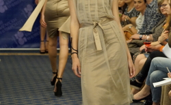 dsc5910_250x154_crop_478b24840a