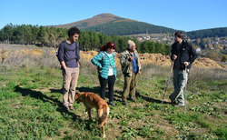 archeology3_250x154_crop_478b24840a