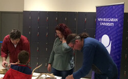 arh-2_250x154_crop_478b24840a