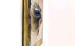 16_250x154_crop_478b24840a