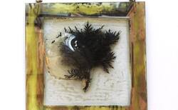 17_250x154_crop_478b24840a