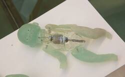 19_250x154_crop_478b24840a