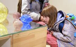 4_250x154_crop_478b24840a