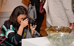 dsc-5404-16_250x154_crop_478b24840a