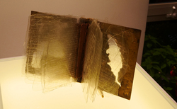 13_250x154_crop_478b24840a