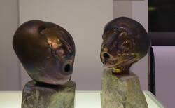 16_250x154_crop_478b24840a