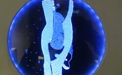 20_250x154_crop_478b24840a