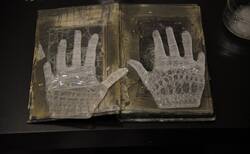 29_250x154_crop_478b24840a