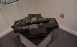 9_250x154_crop_478b24840a