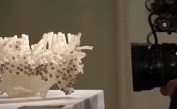 img-176220-19_250x154_crop_478b24840a