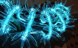 img-176220-36_250x154_crop_478b24840a