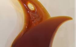 img-176220-39_250x154_crop_478b24840a