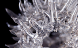 6_250x154_crop_478b24840a