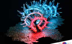 7_250x154_crop_478b24840a