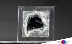 5_250x154_crop_478b24840a