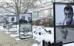 dsc0041_250x154_crop_478b24840a