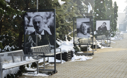 dsc0042_250x154_crop_478b24840a