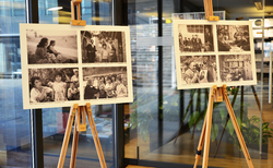 dsc0050_250x154_crop_478b24840a