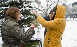 dsc0058-copy_250x154_crop_478b24840a