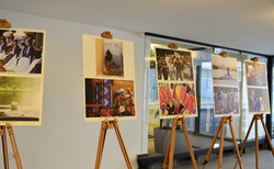 dsc0081_250x154_crop_478b24840a